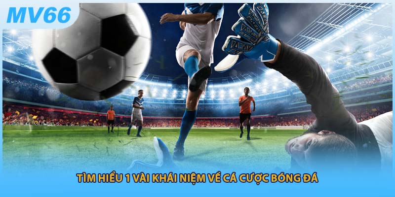 Tìm hiểu 1 vài khái niệm về cá cược bóng đá